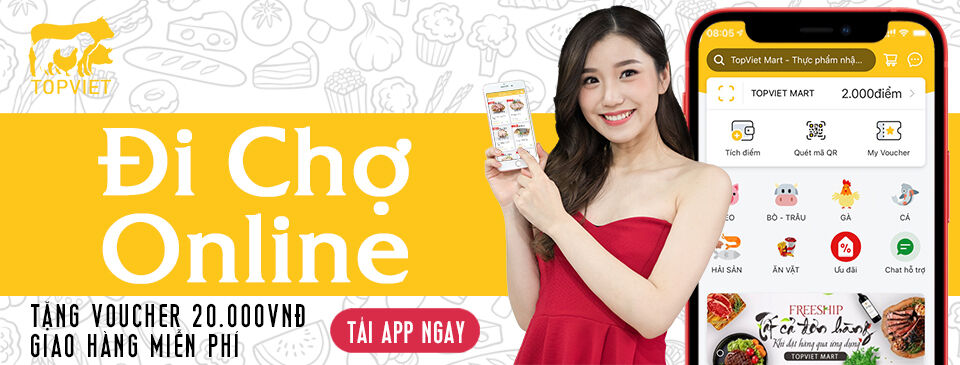 Cover image for Top Việt