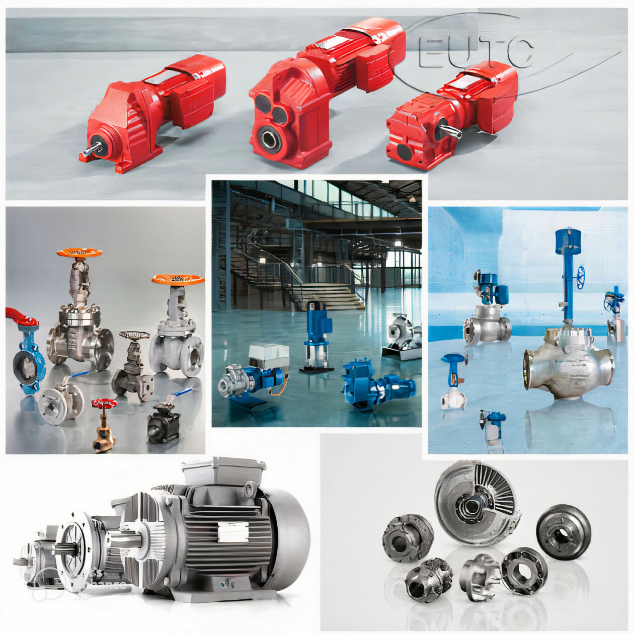 Cover image for EUTC