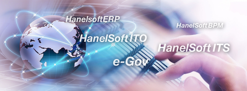 Cover image for CÔNG TY CỔ PHẦN GIẢI PHÁP PHẦN MỀM HANEL