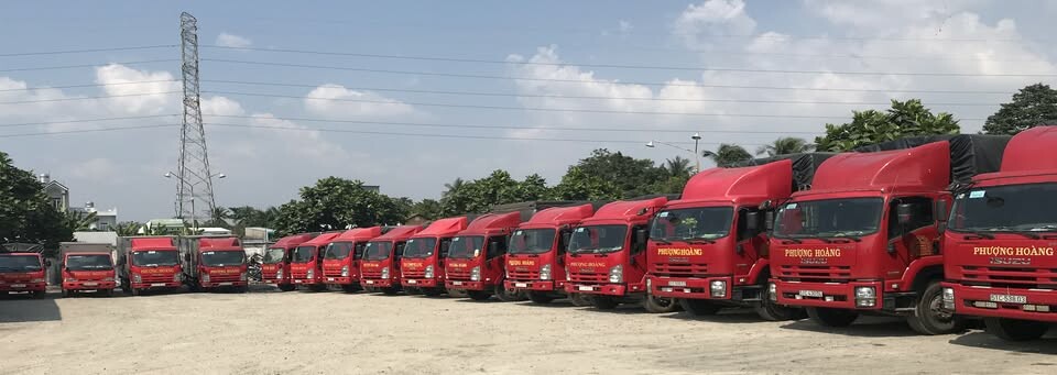 Cover image for CÔNG TY TNHH VẬN TẢI THƯƠNG MẠI DỊCH VỤ PHƯỢNG HOÀNG