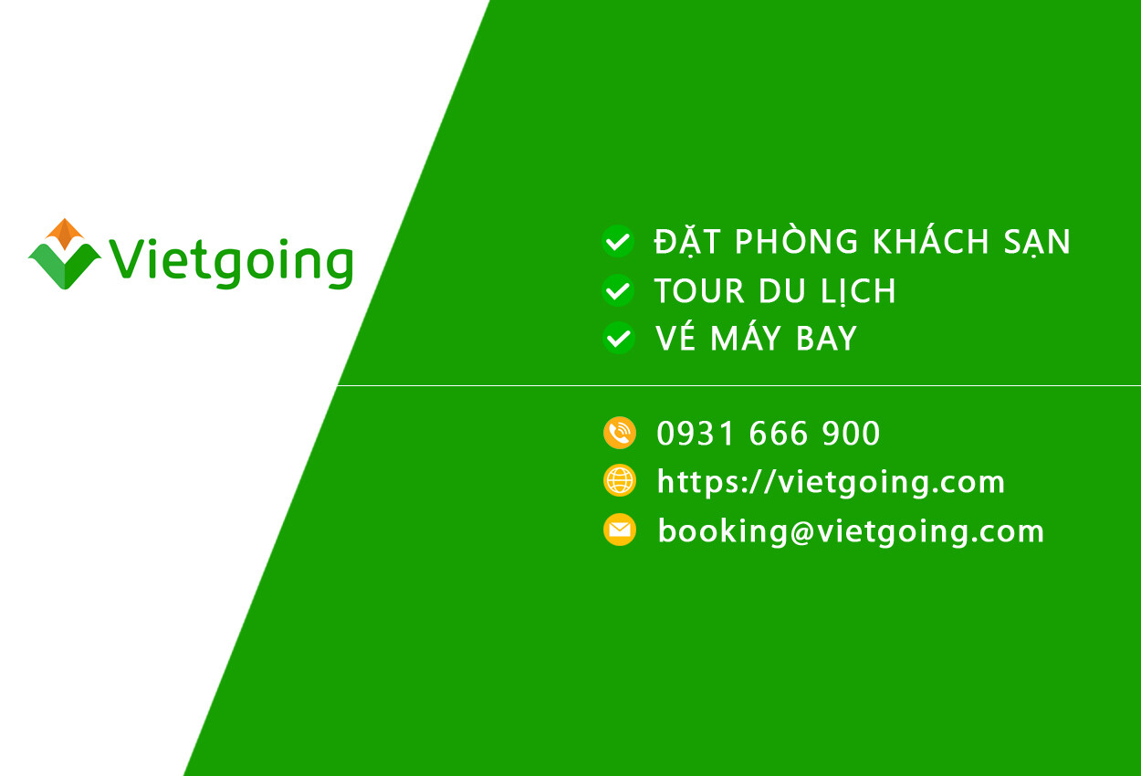 Cover image for Vietgoing