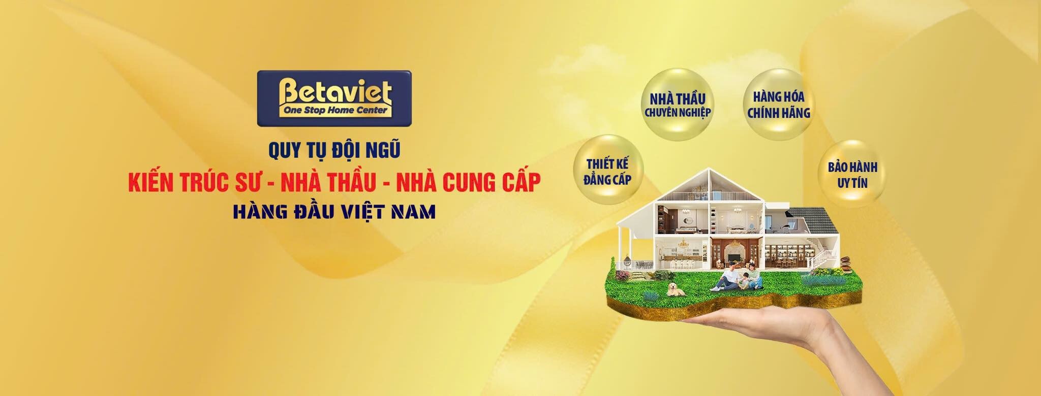 Cover image for Betaviet Group