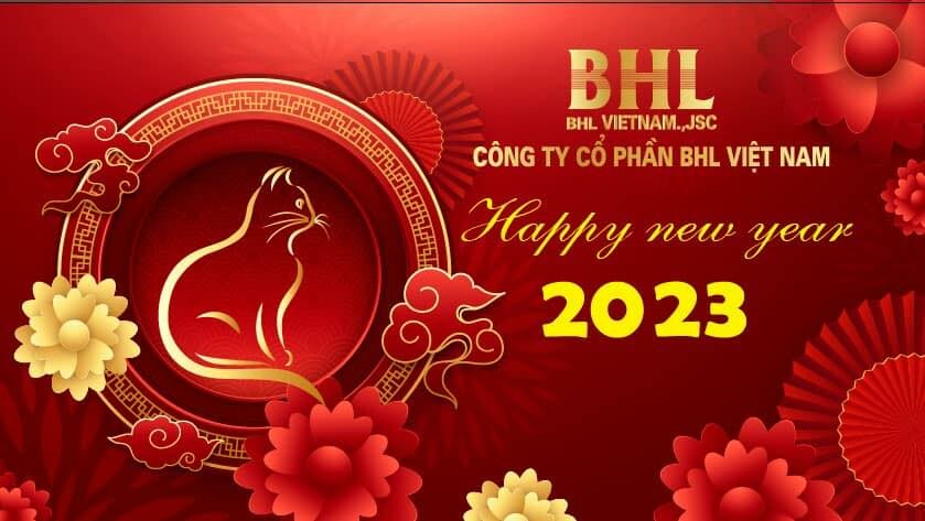 Cover image for CÔNG TY CỔ PHẦN BHL VIỆT NAM