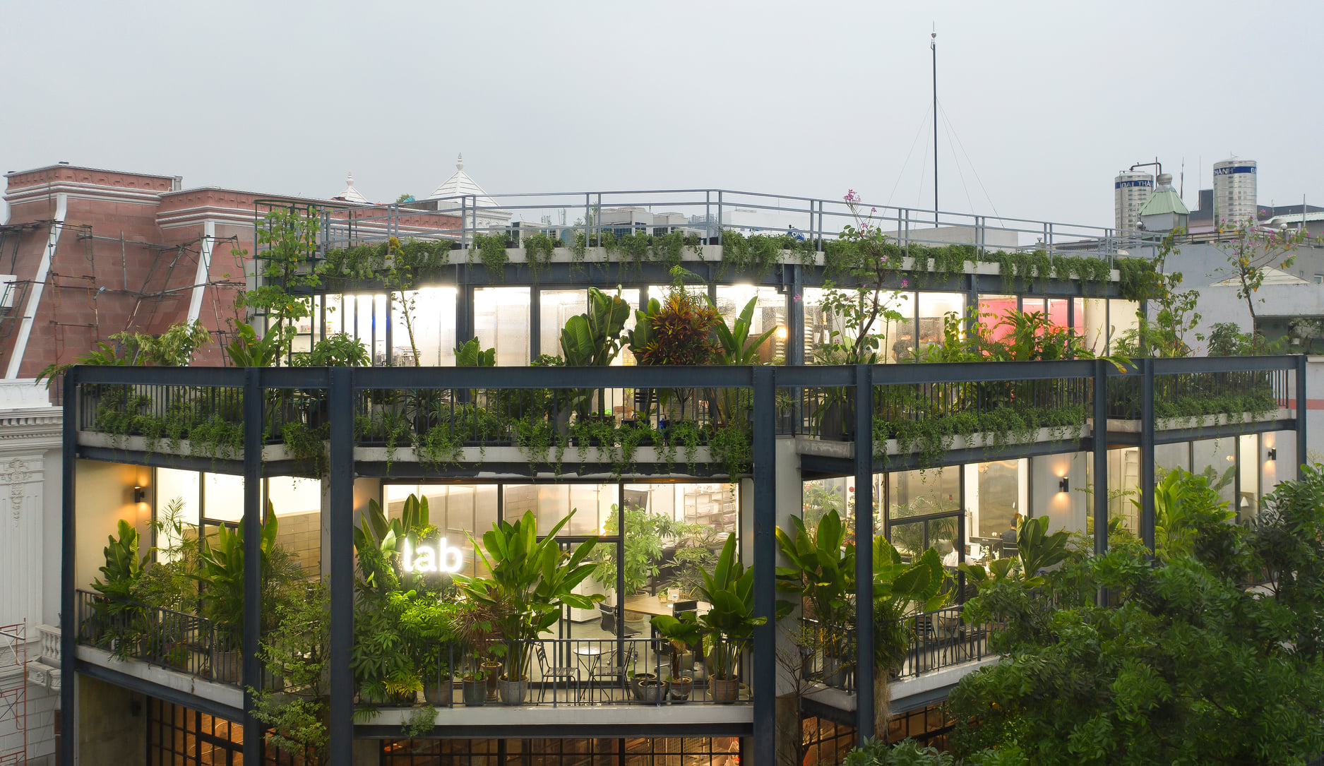 Cover image for The Lab (Vietnam)