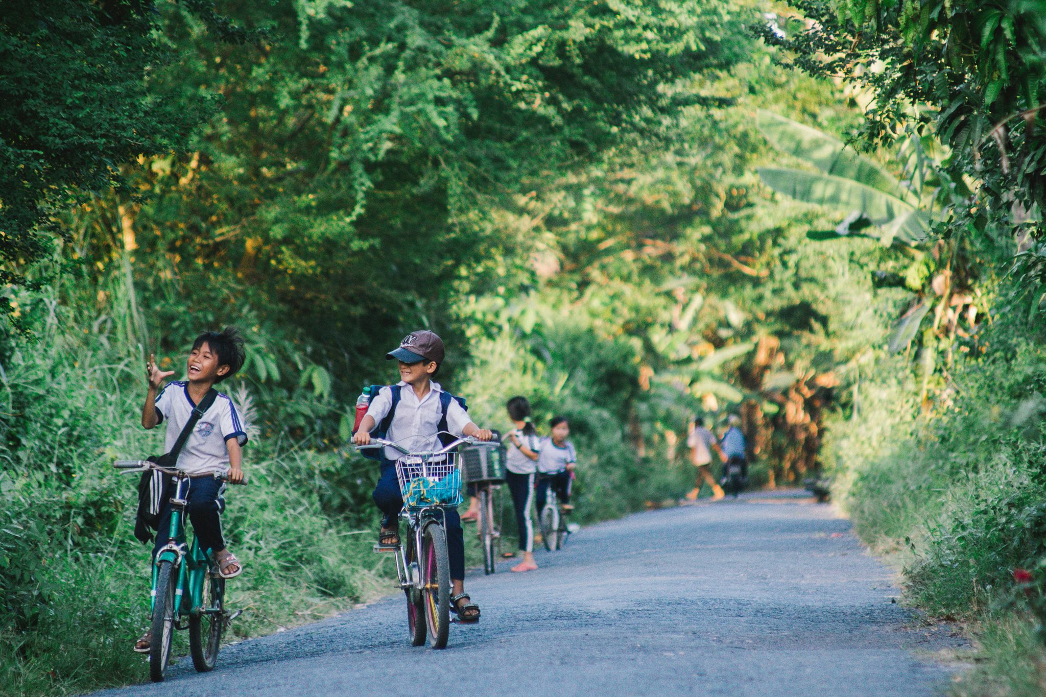 Cover image for Viện Nghiên cứu Phát triển Mekong - MDRI