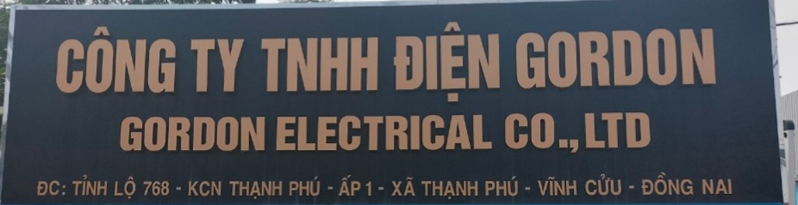 Cover image for ĐIỆN GORDON