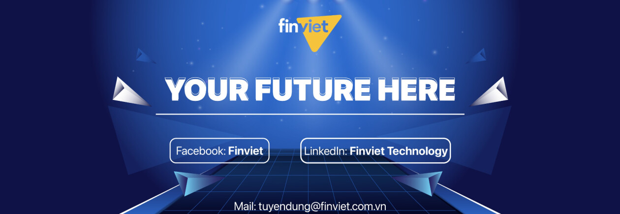 Cover image for FINVIET
