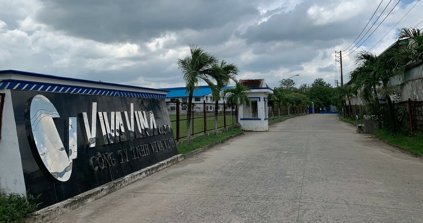 Cover image for Viva Vina