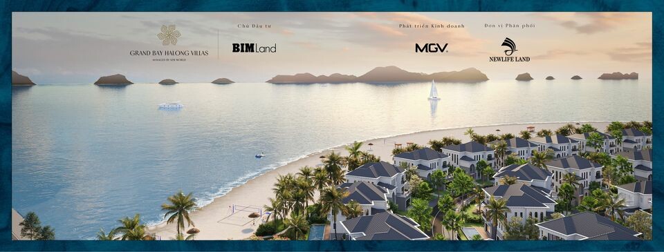 Cover image for Newlife Land