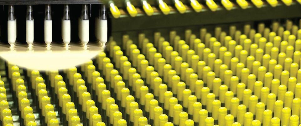 Cover image for Suheung Việt Nam