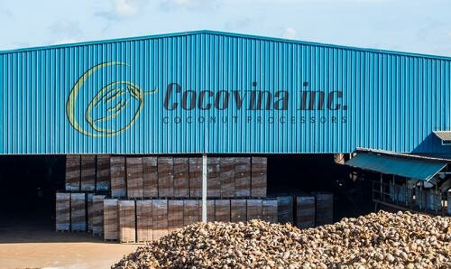 Cover image for Cocovina