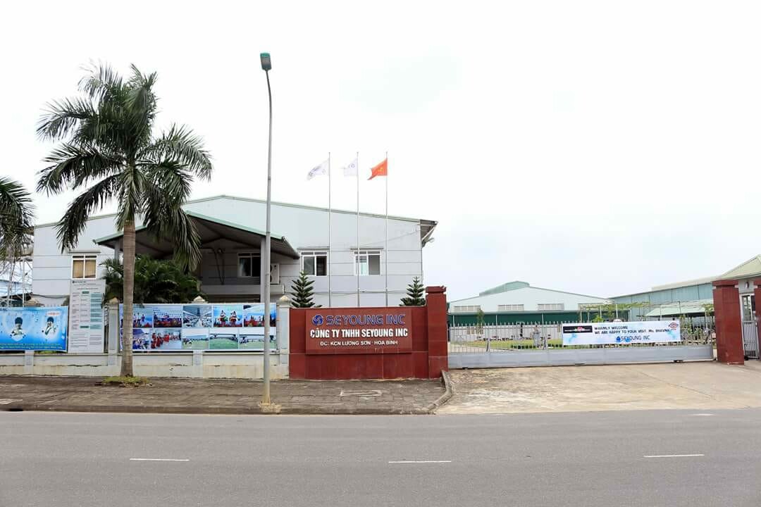 Cover image for Seyoung INC