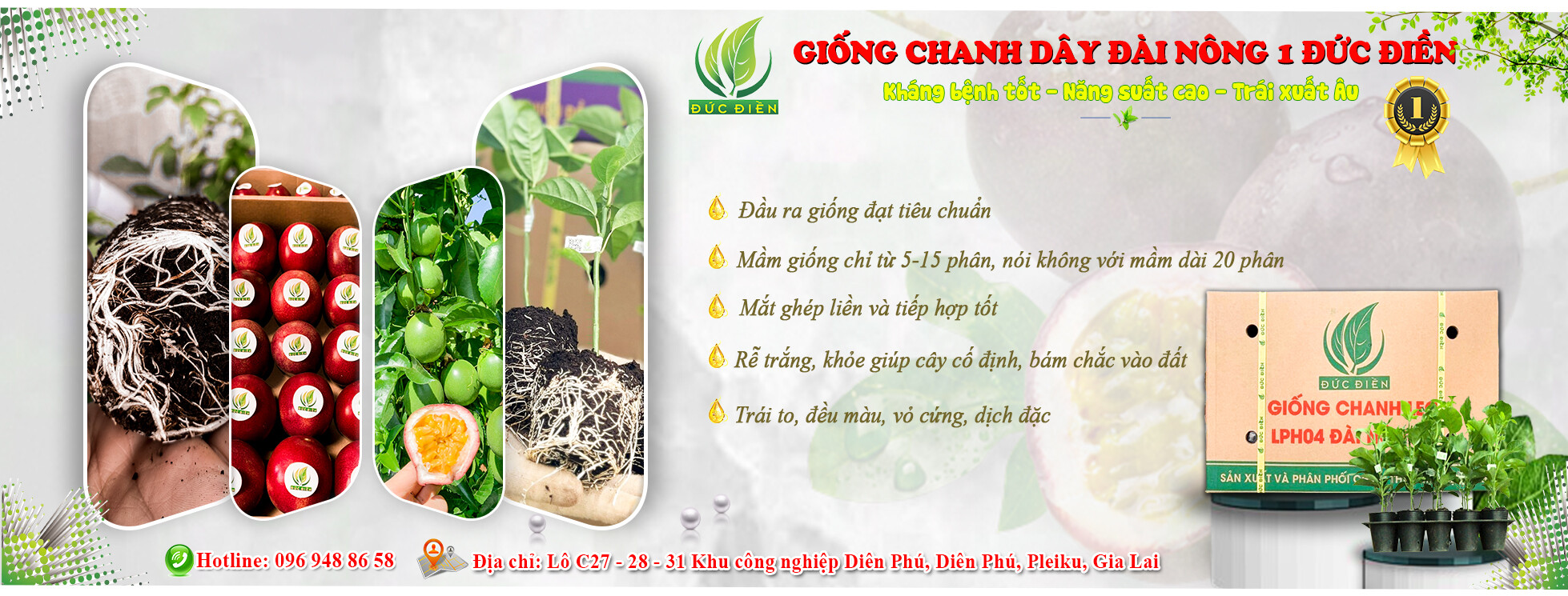 Cover image for Nông Nghiệp SeSan Gia Lai