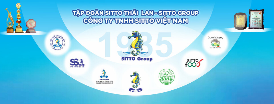 Cover image for Sitto