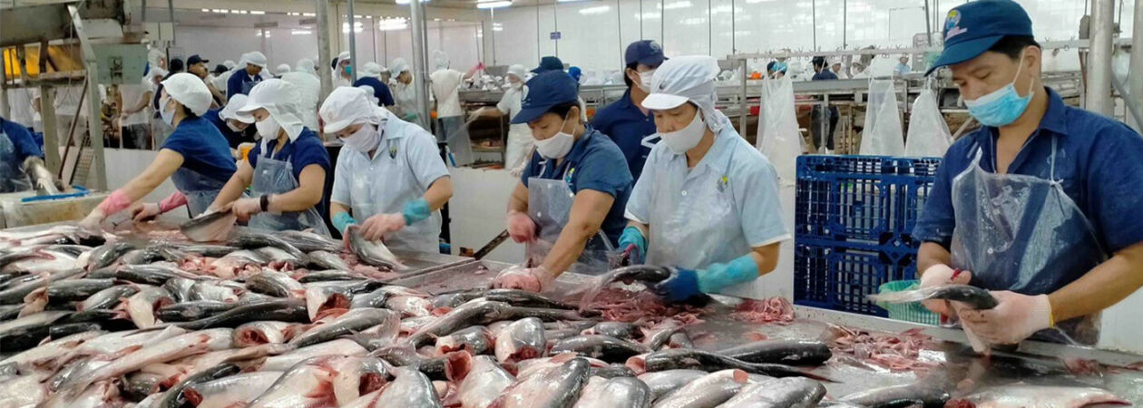 Cover image for Vietlink food