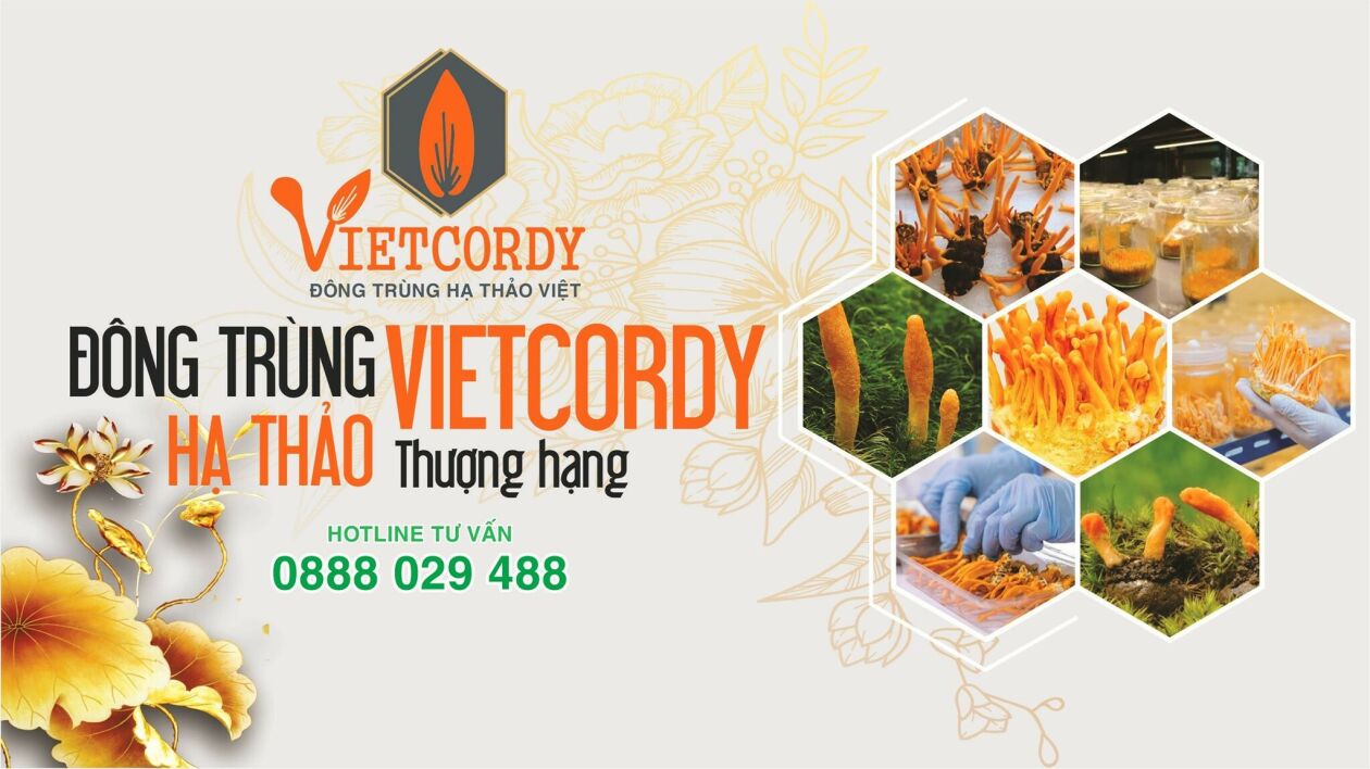 Cover image for VIETCORDY