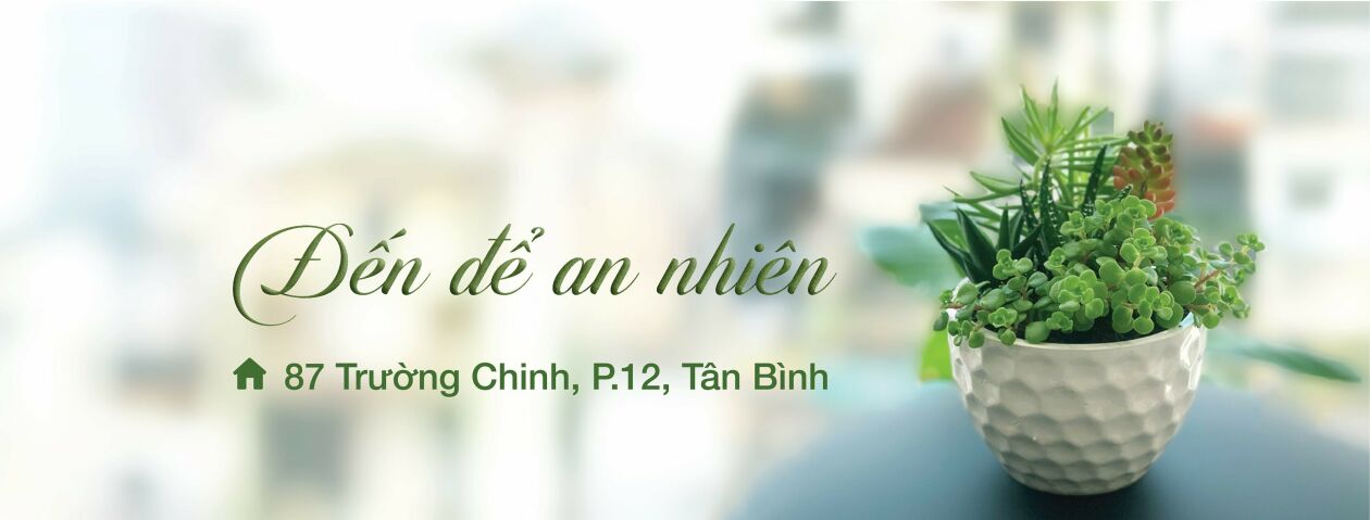 Cover image for Trị Liệu Và Phục Hồi Chức Năng An Nhiên