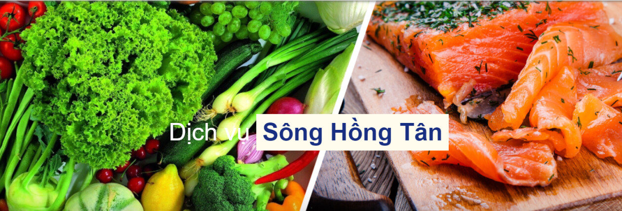 Cover image for Sông Hồng Tân