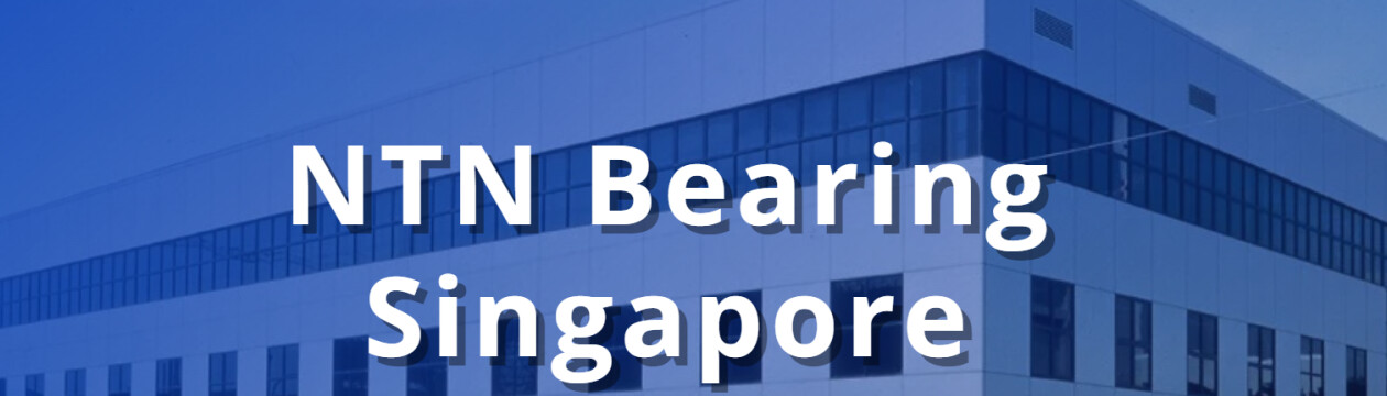 Cover image for NTN BEARING