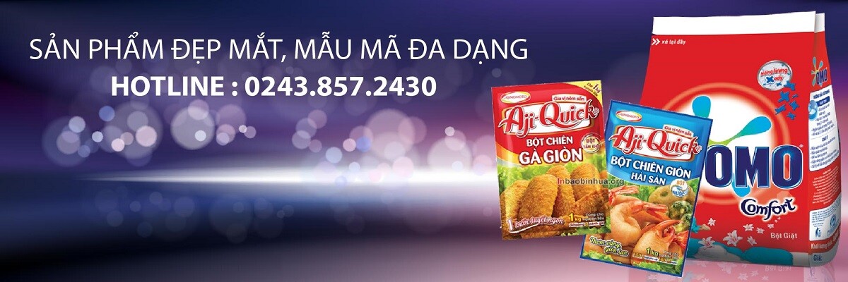 Cover image for Đức Hiếu