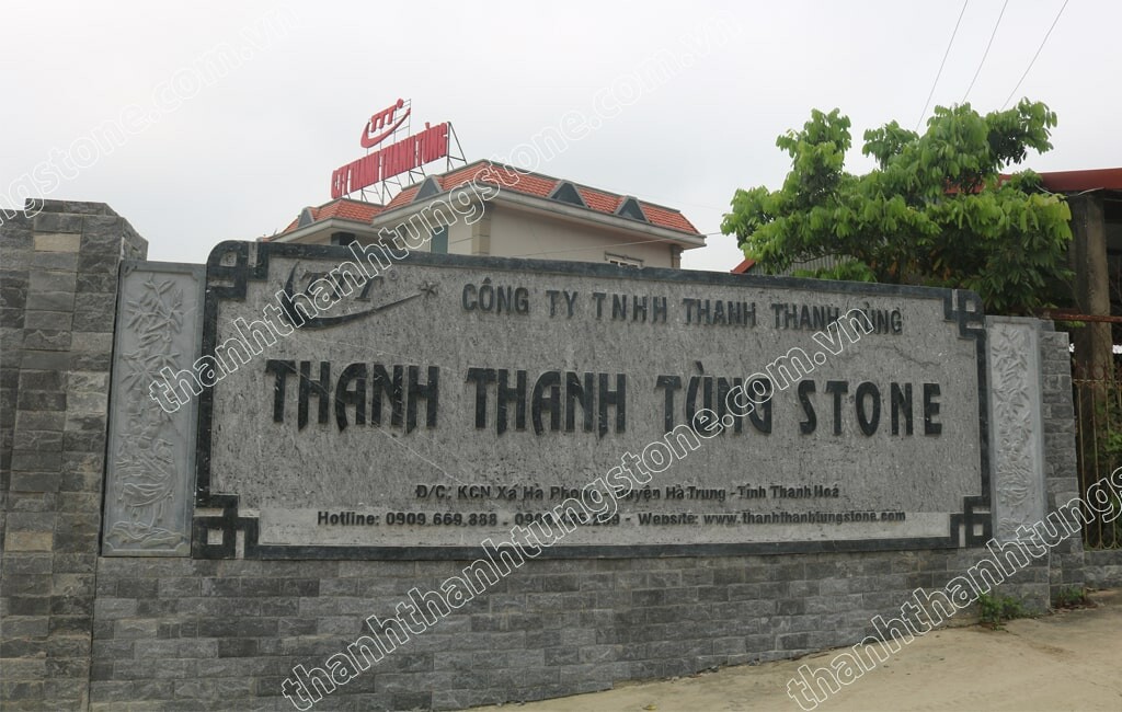 Cover image for Công ty Thanh Thanh Tùng