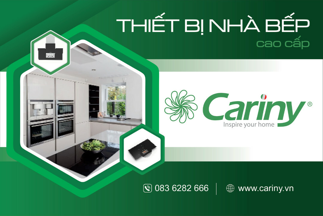 Cover image for CARINY VIỆT NAM