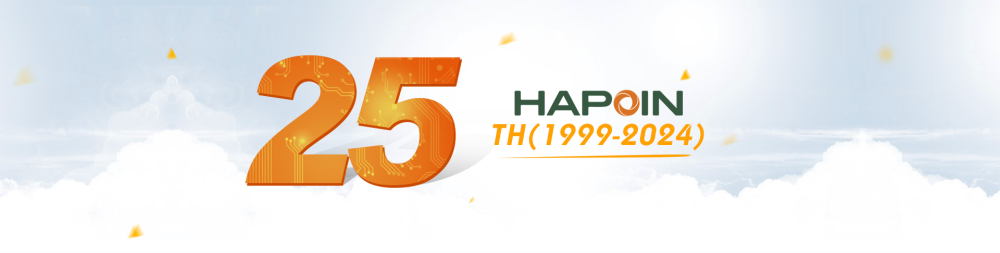 Cover image for Hapoin VIỆT NAM