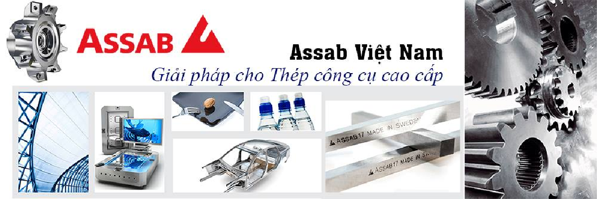 Cover image for Thép Assab Việt Nam