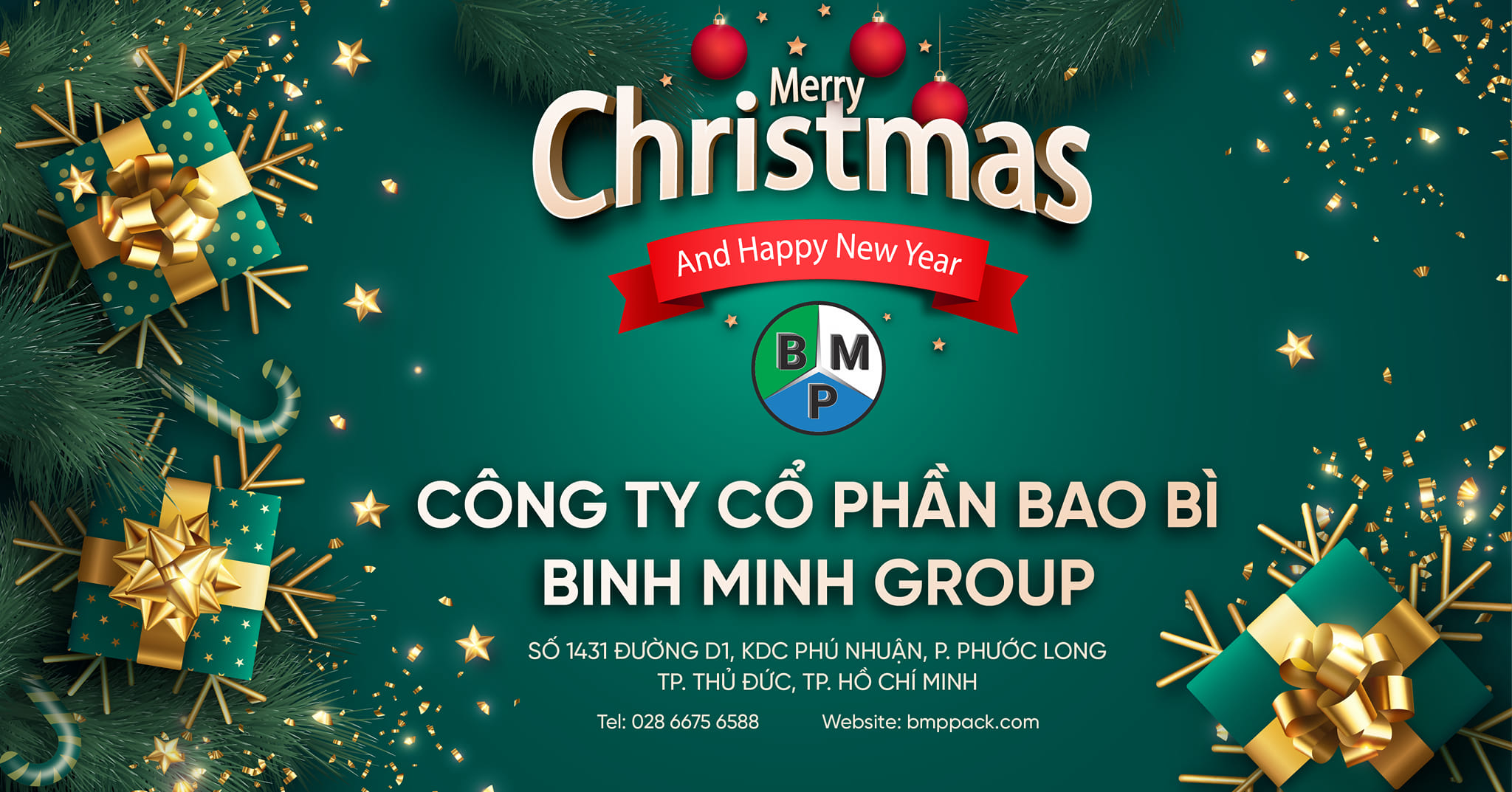 Cover image for Bao Bì Bình Minh Group