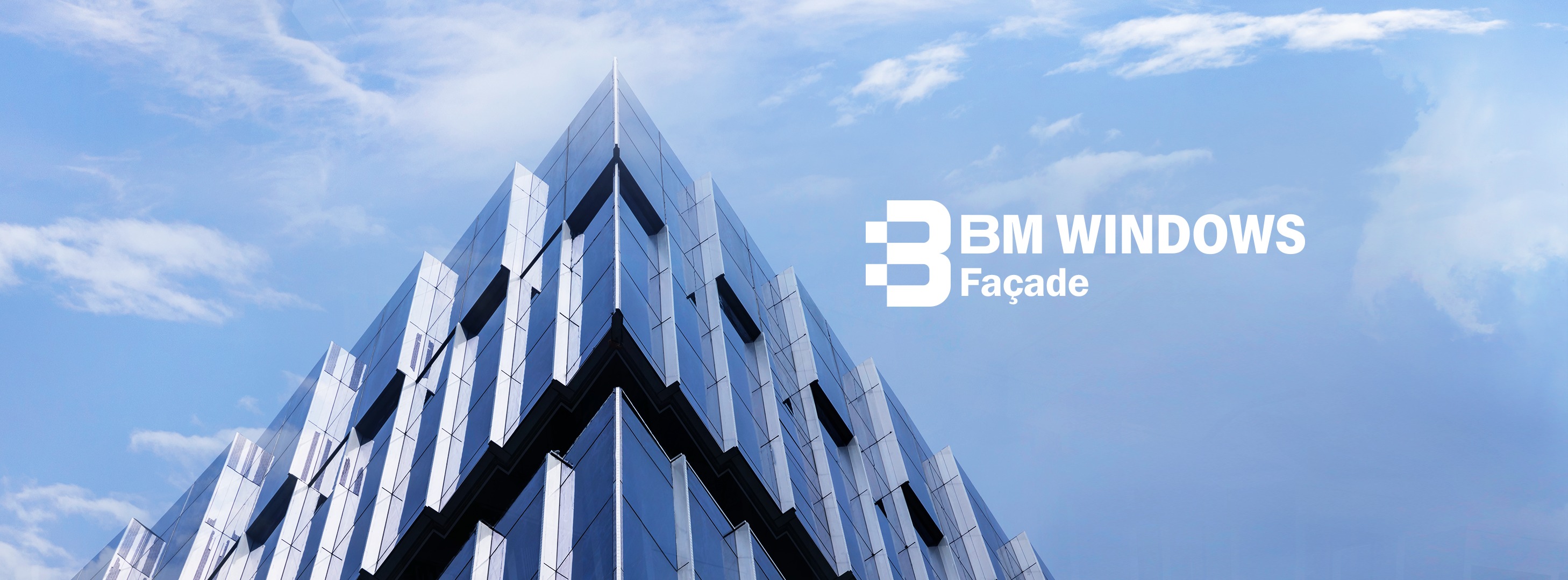 Cover image for BM WINDOWS