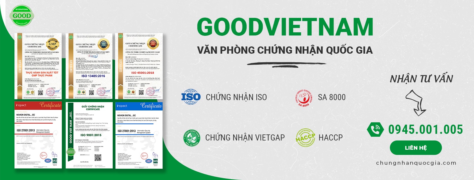 Cover image for Good Việt Nam