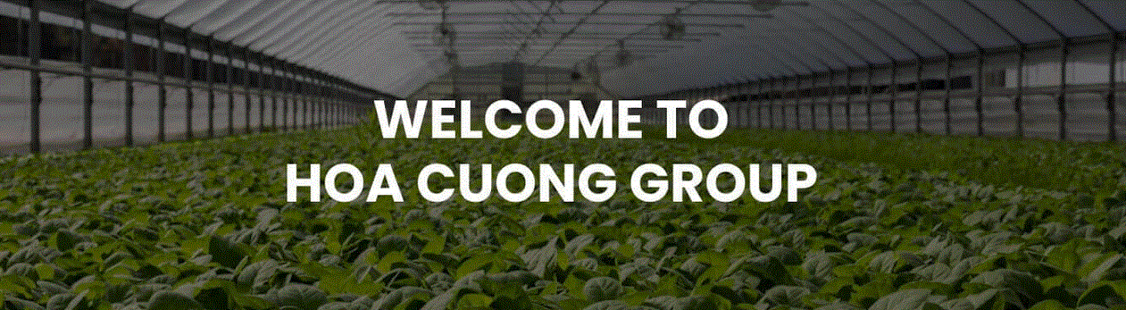 Cover image for NÔNG NGHIỆP HOA CƯƠNG