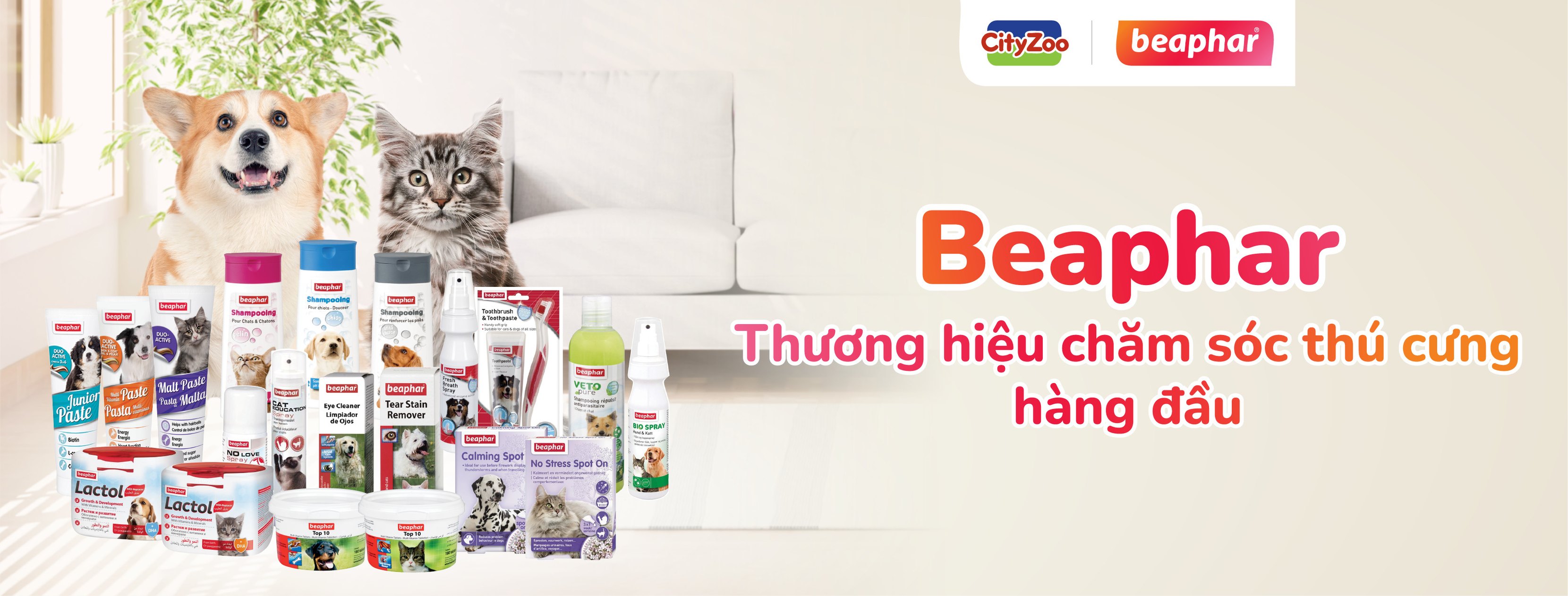 Cover image for CITYZOO