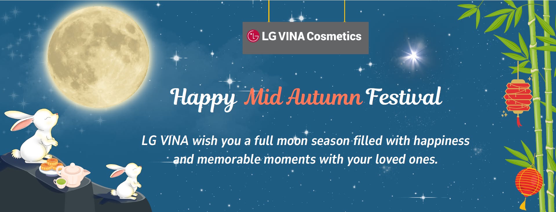 Cover image for LG VINA Cosmetics