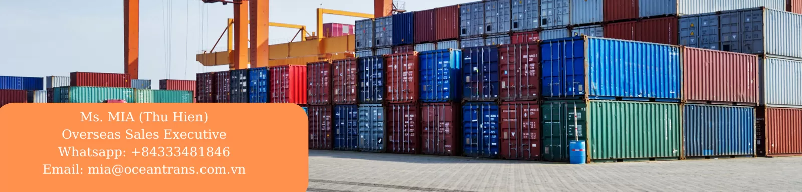 Cover image for Trans Ocean