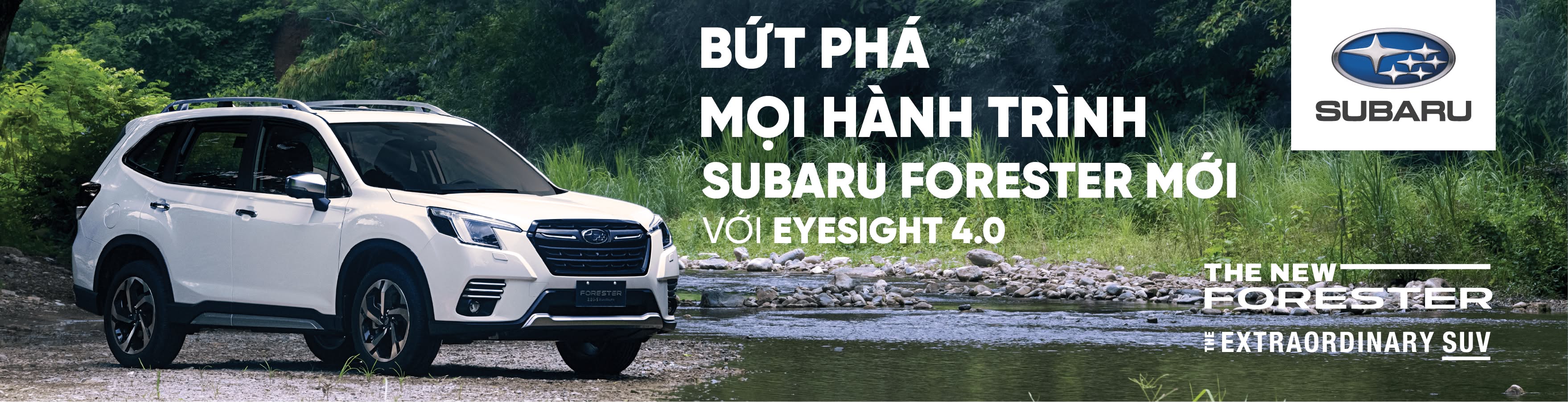 Cover image for MOTOR IMAGE SAI GON