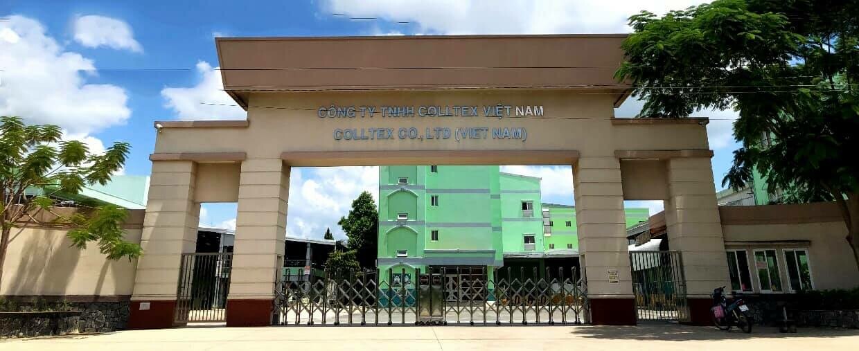 Cover image for COLLTEX VN