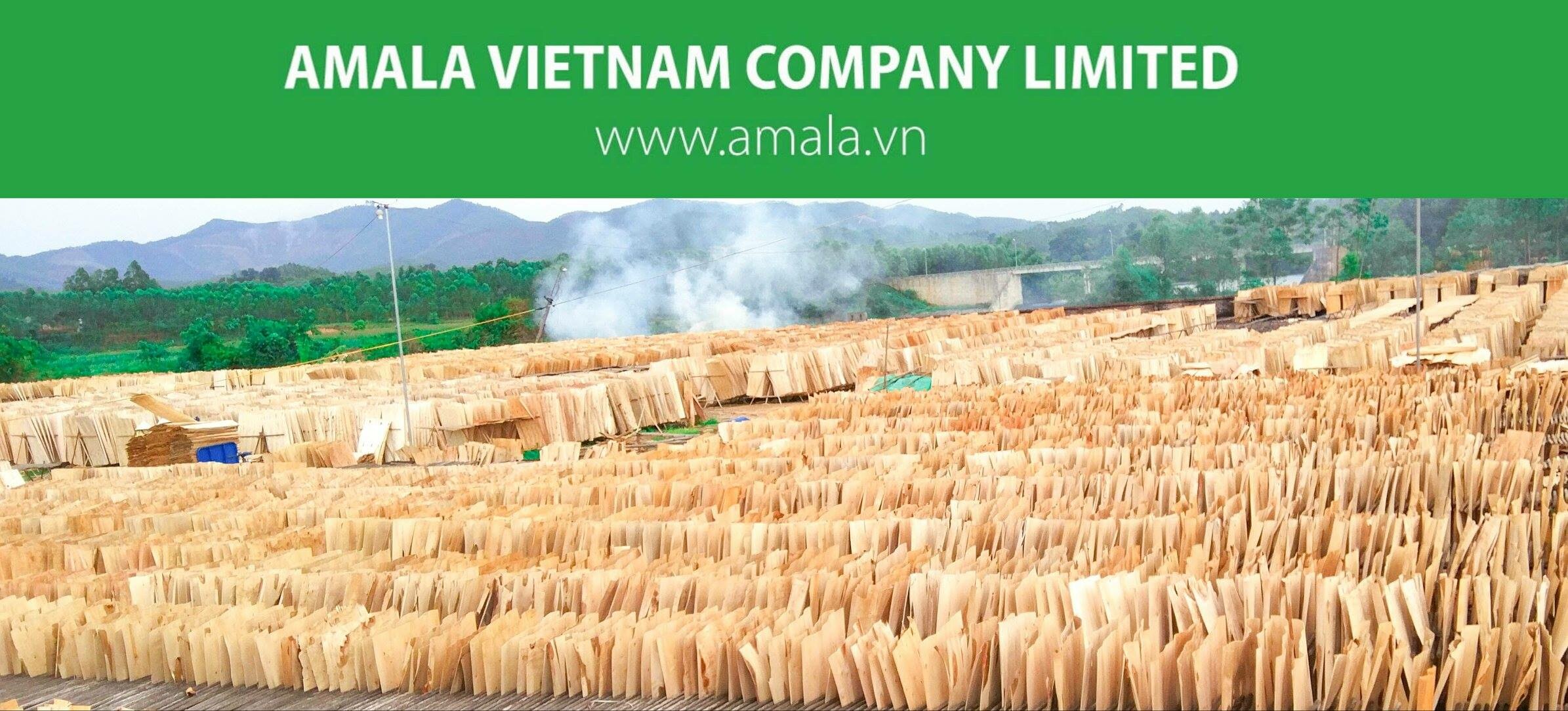 Cover image for AMALA