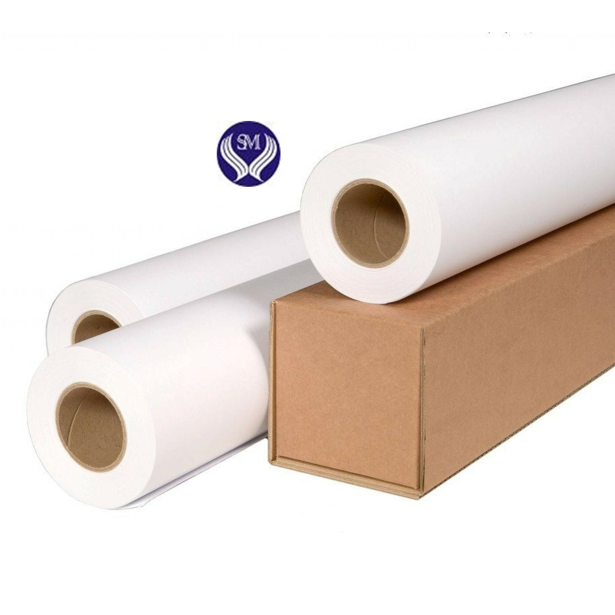 Cover image for GIẤY SONG MÃ