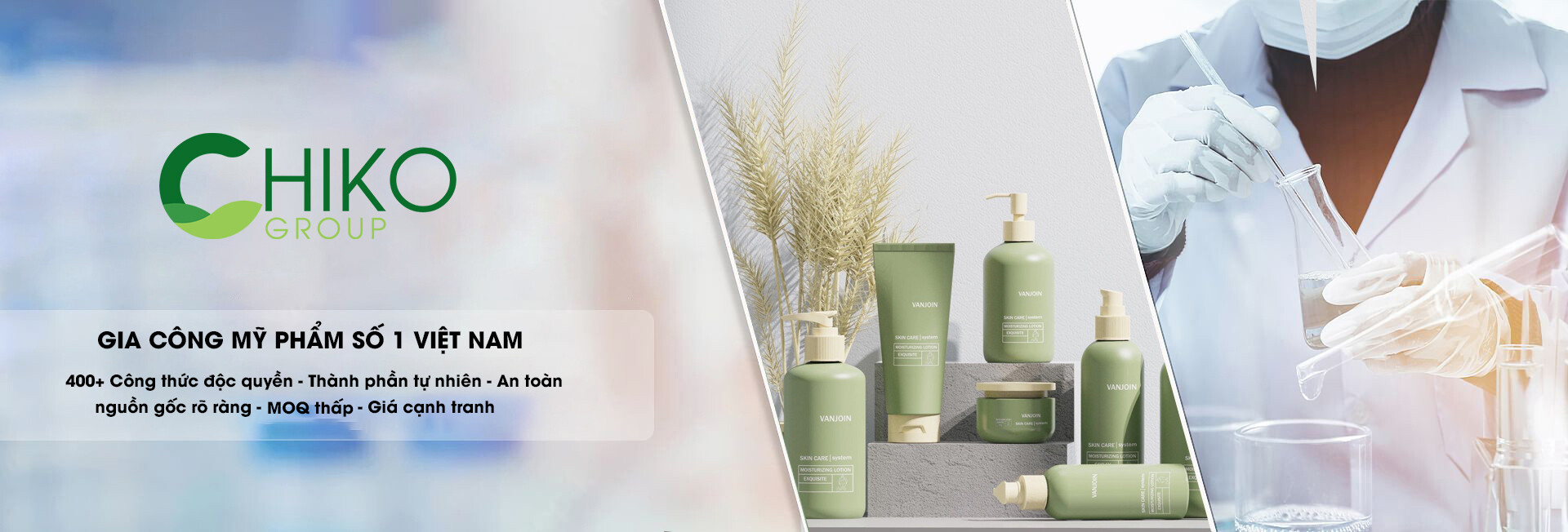 Cover image for Chiko Việt Nam