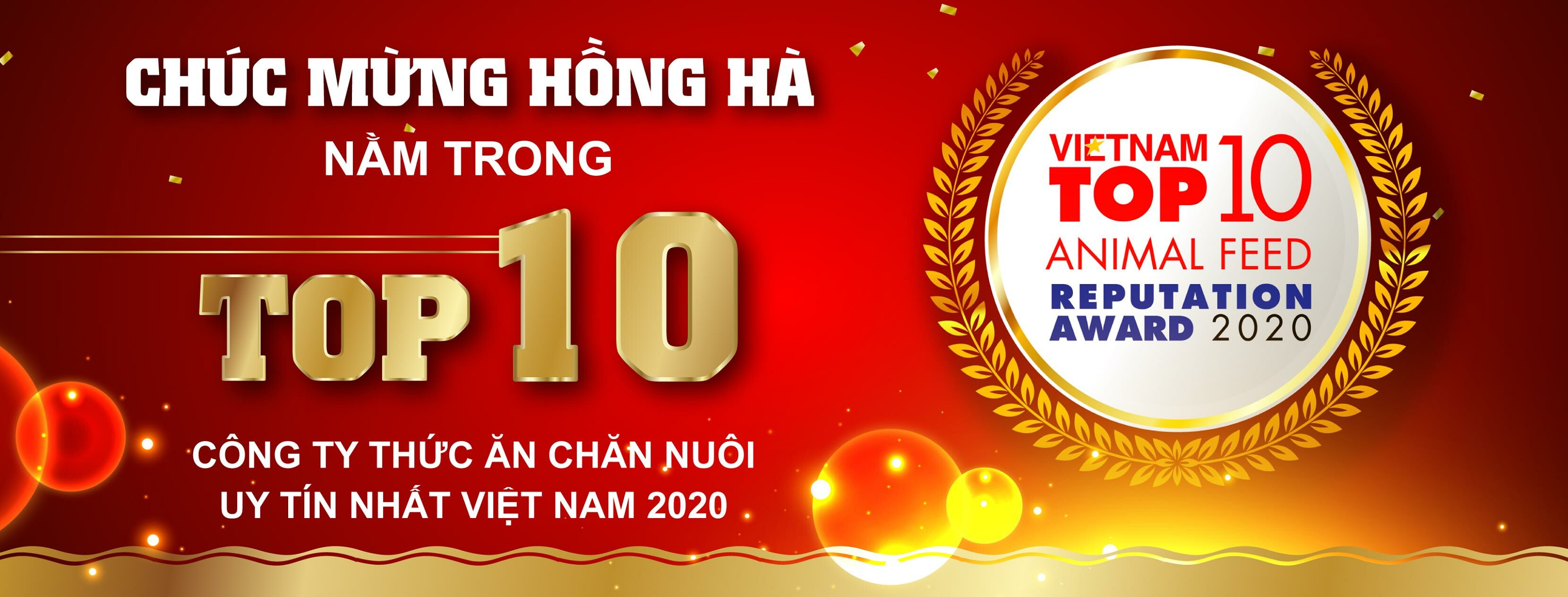 Cover image for Hồng Hà Bình Định