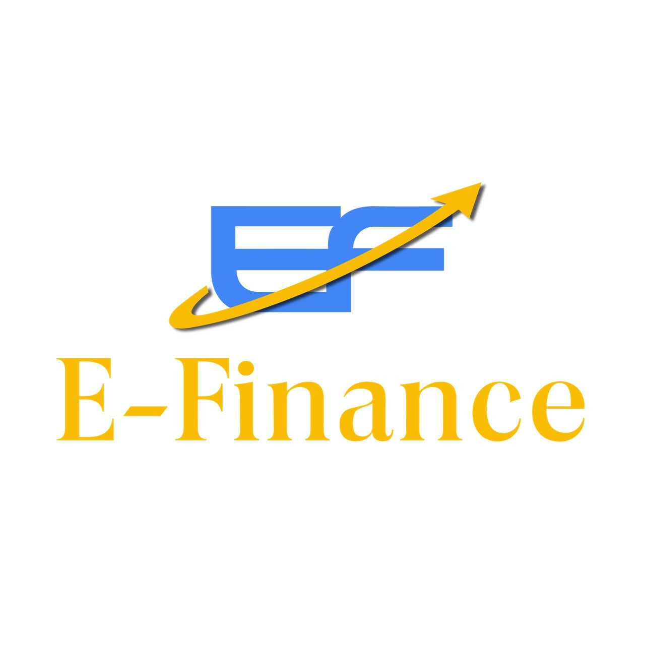 Cover image for E-FINANCE