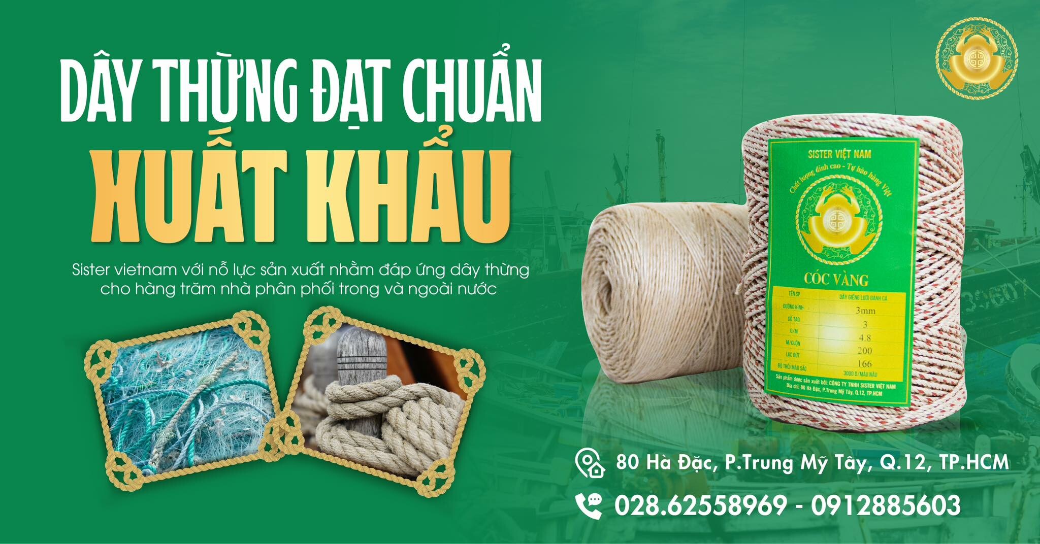 Cover image for Sister Việt Nam