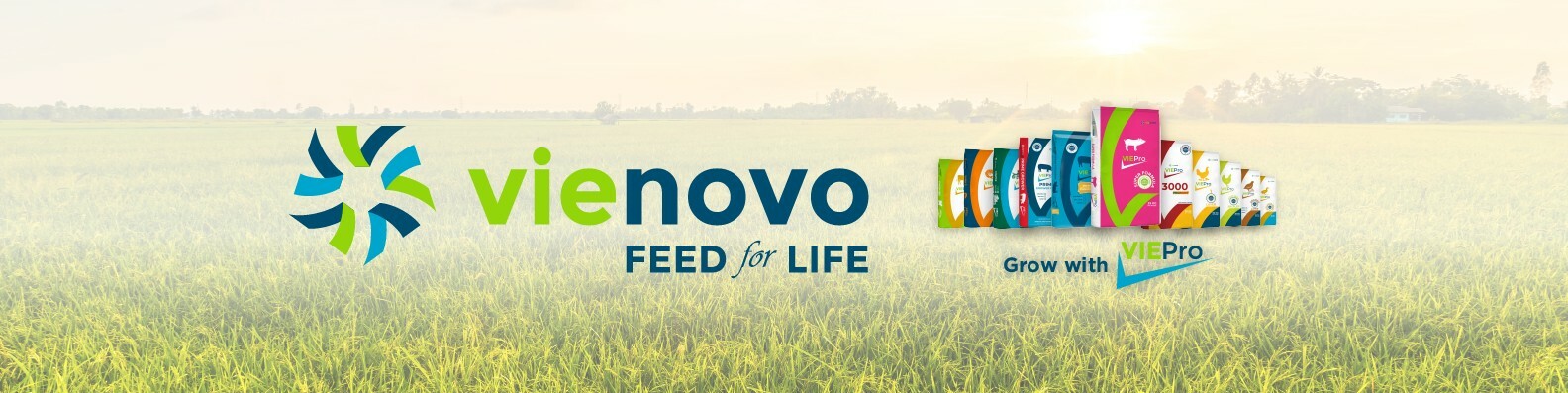Cover image for Vienovo Vietnam