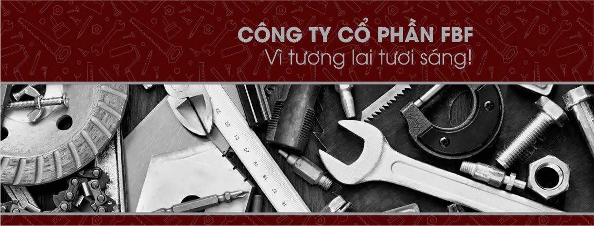 Cover image for Phát Triển Fbf