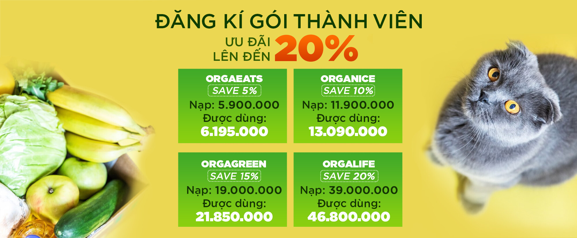 Cover image for Vạn Sơn Thịnh Phát