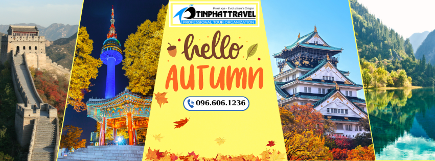 Cover image for Tín Phát Travel