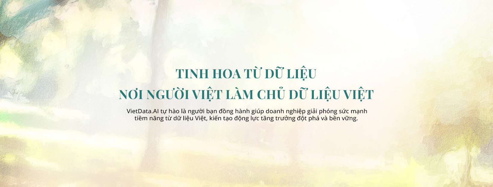 Cover image for VietdataAI
