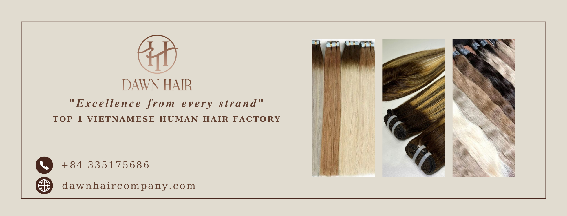 Cover image for XNK DAWN HAIR