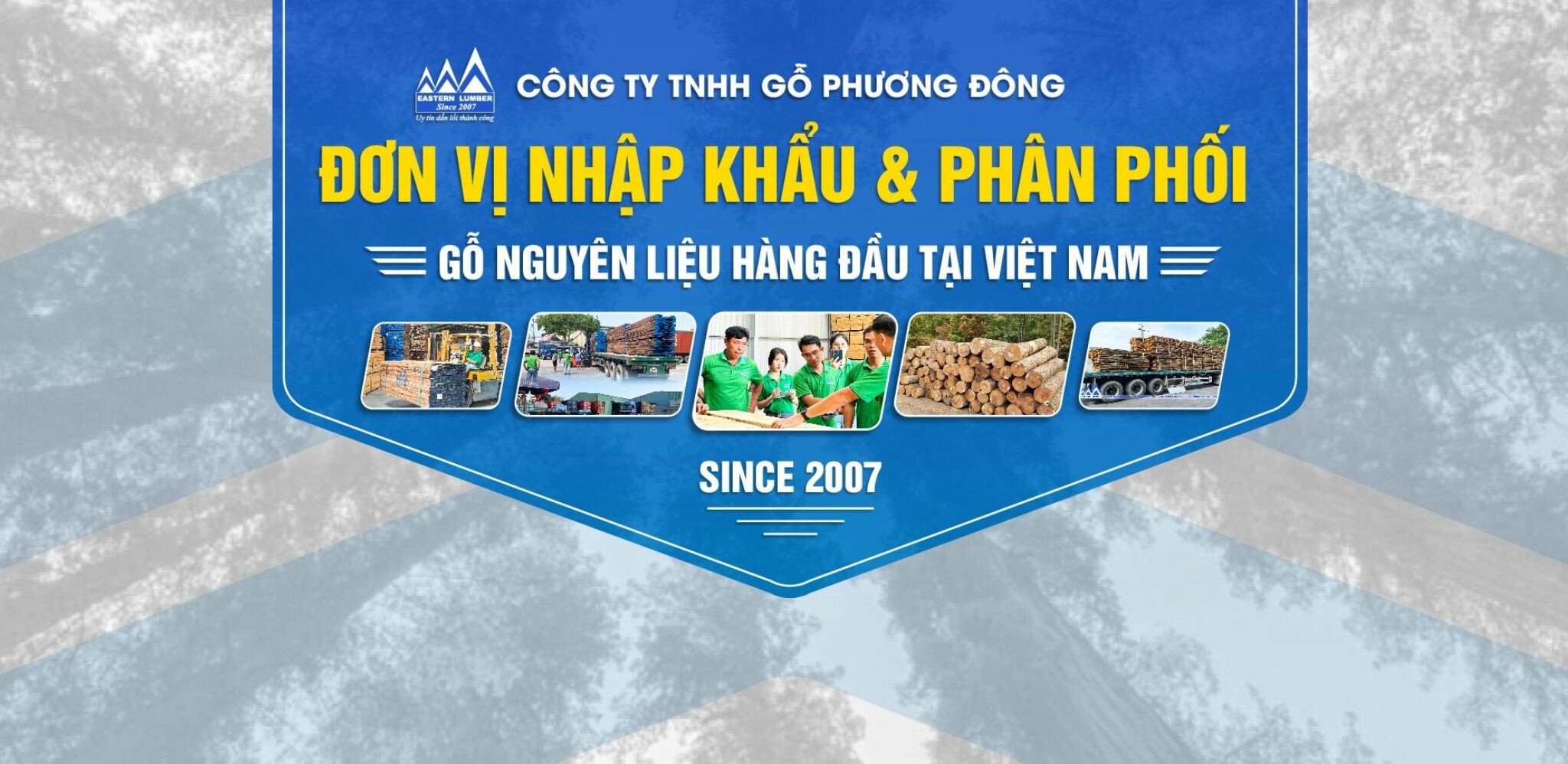 Cover image for Gỗ Phương Đông